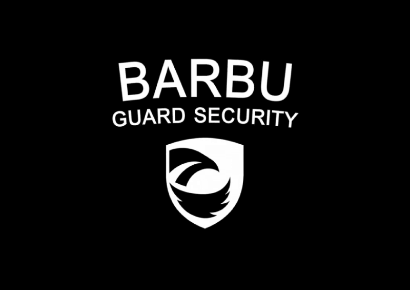 Barbu Security Logo